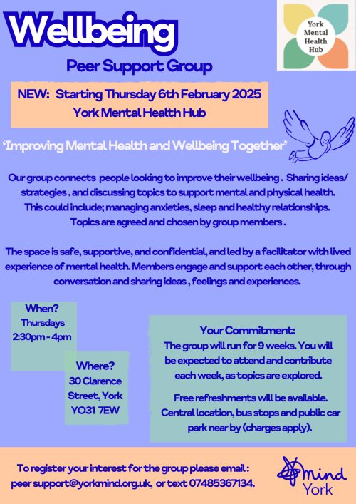 Wellbeing Peer Support Group Poster (3)